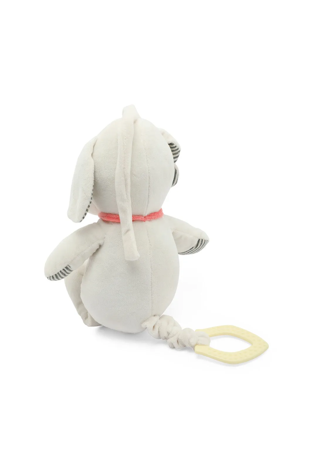 Babies Ecru Rattle Dog Toy