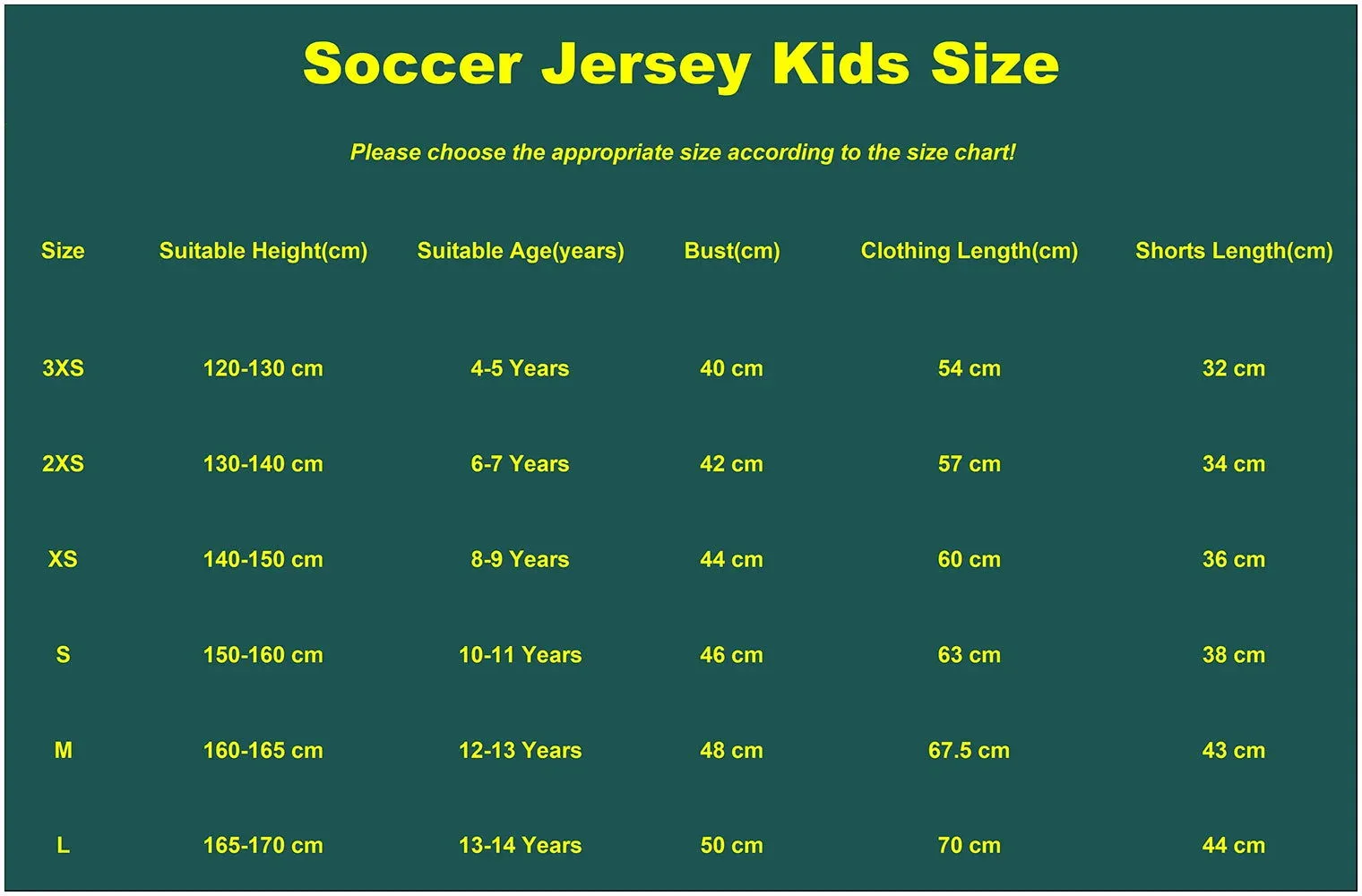 New girl Boys Soccer Jersey Football Kit Children Futbol Training Uniforms Suits Kids Running Tracksuit